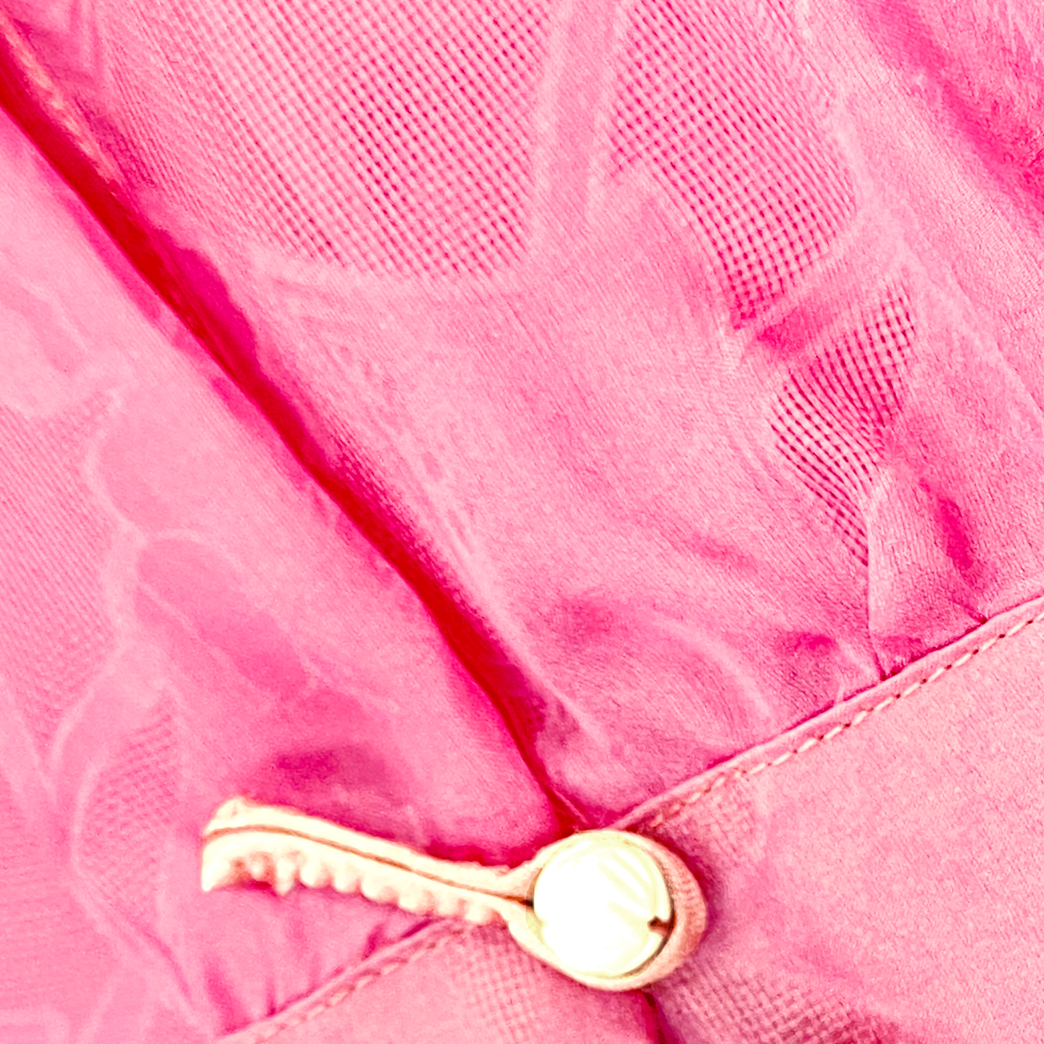 Organza Pink Sheer Blouse