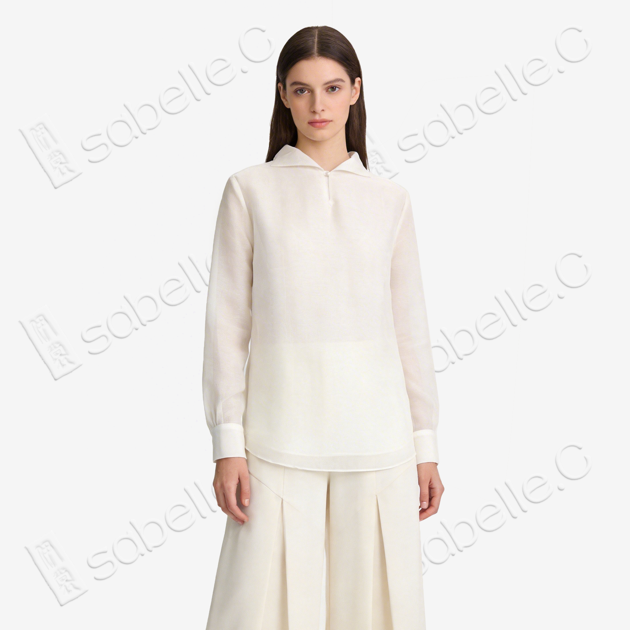 Organza Stand Collar Blouse