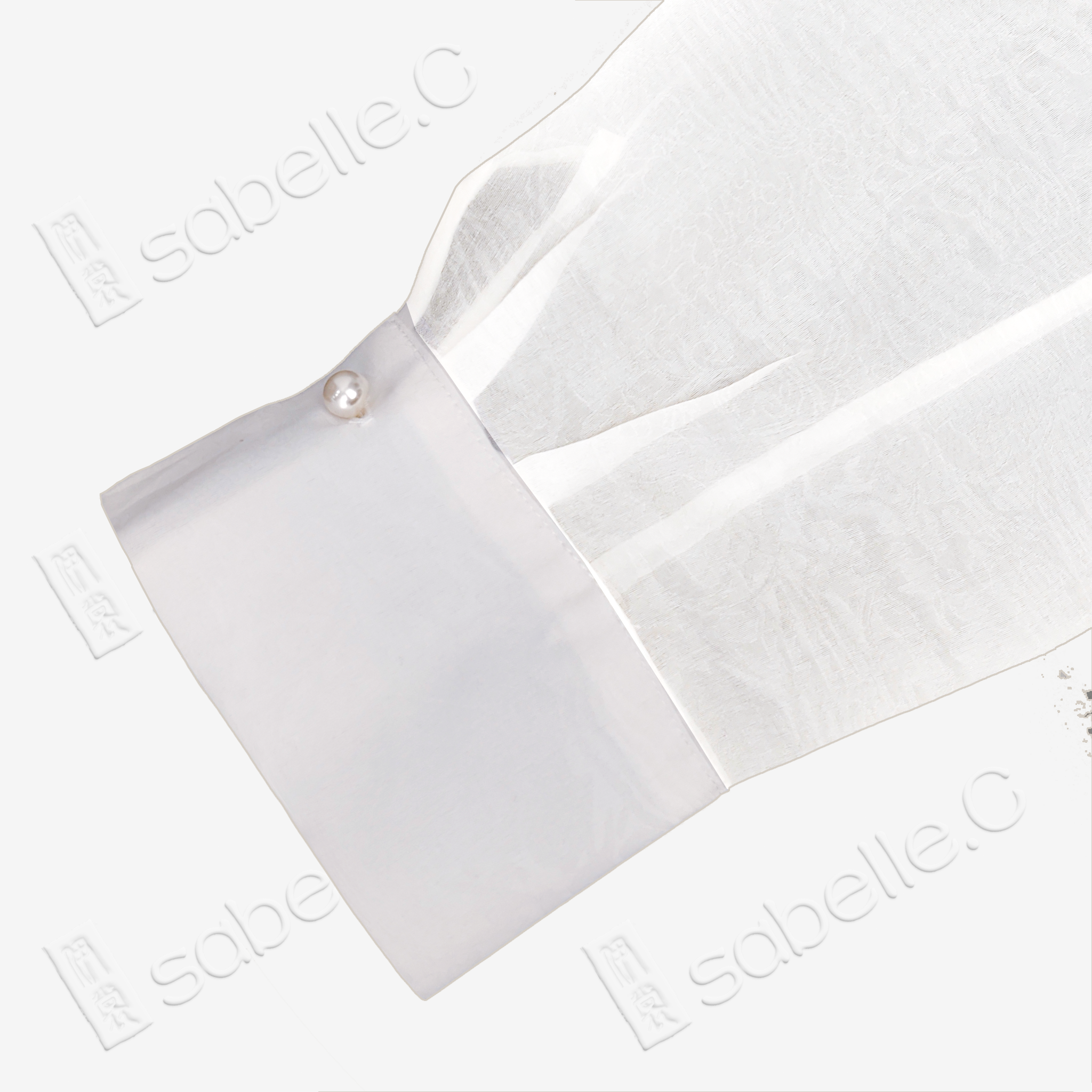 Organza Stand Collar Blouse