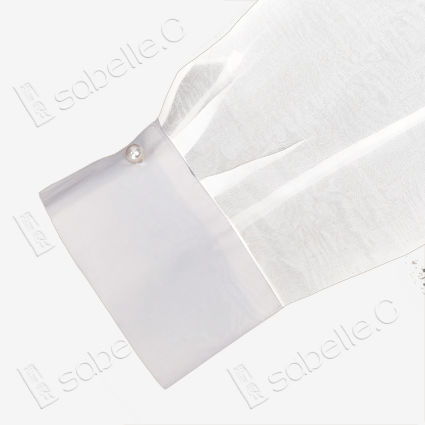 Organza Stand Collar Blouse