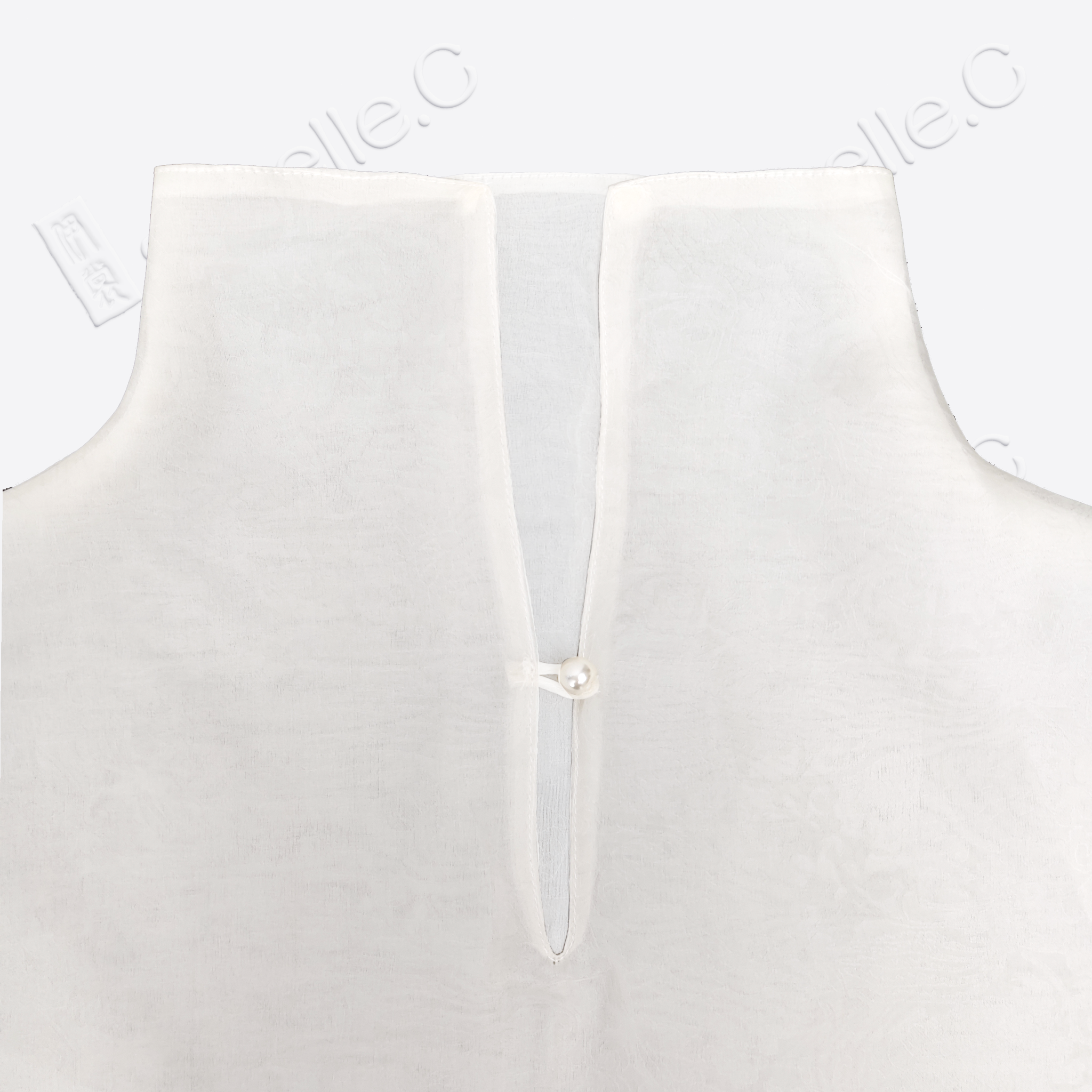 Organza Stand Collar Blouse