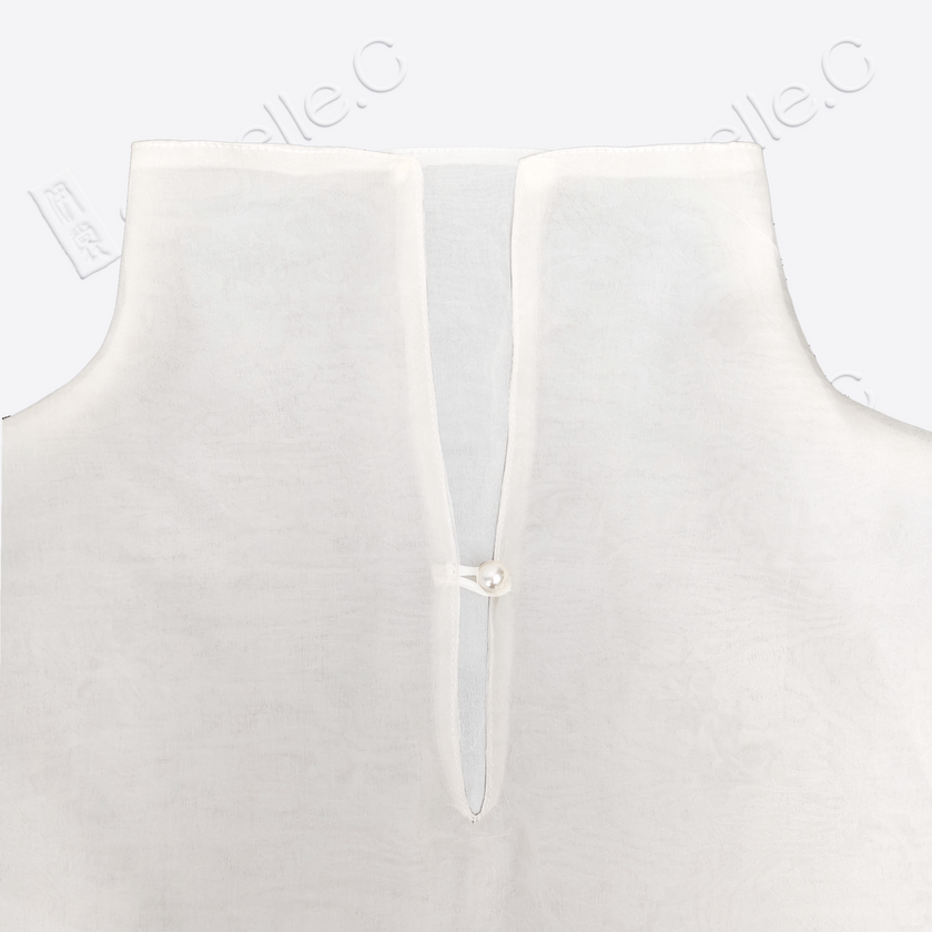 Organza Stand Collar Blouse