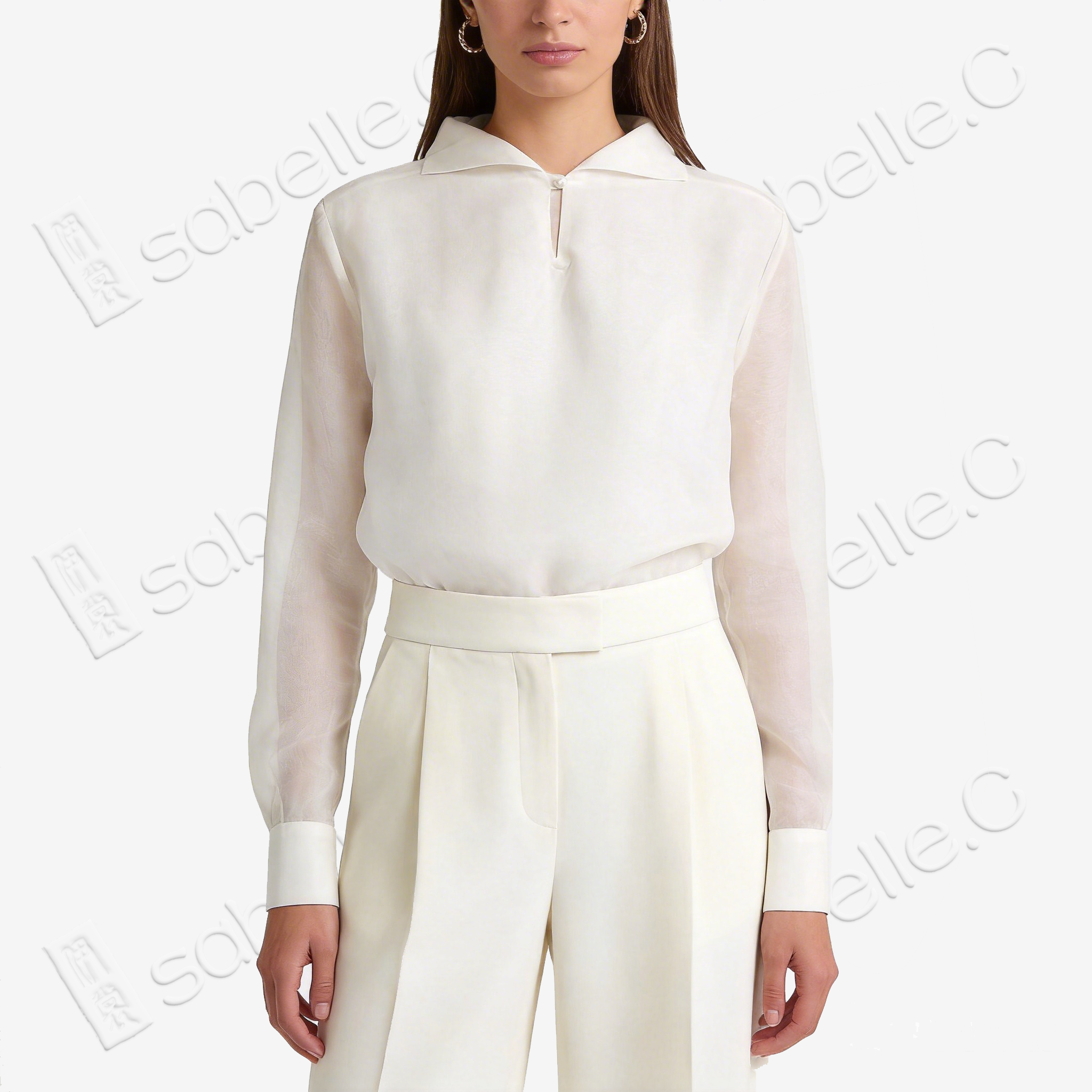 Organza Stand Collar Blouse