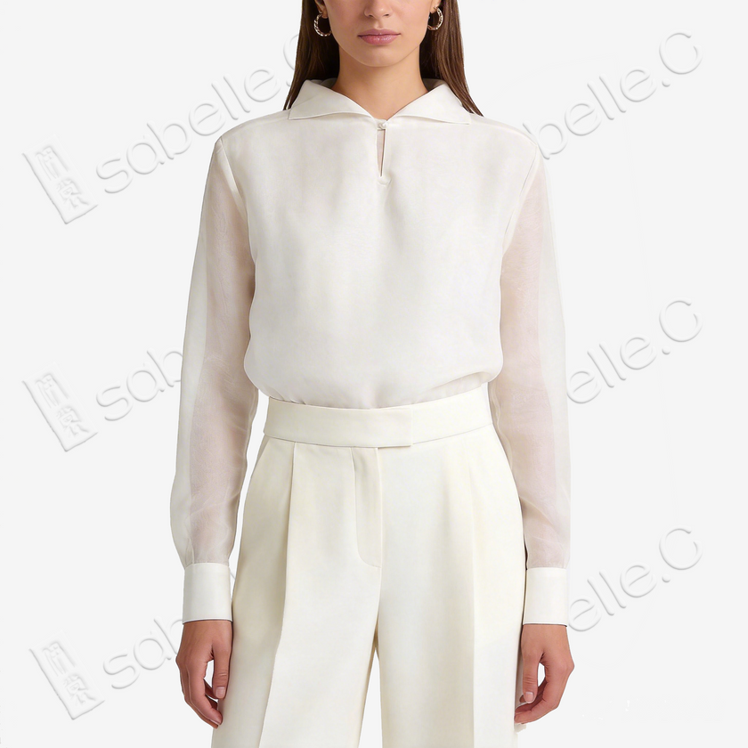 Organza Stand Collar Blouse
