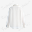 Organza Stand Collar Blouse