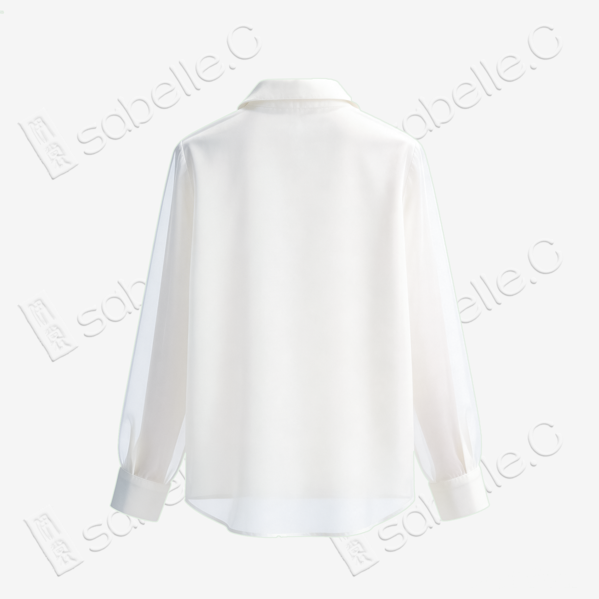 Organza Stand Collar Blouse