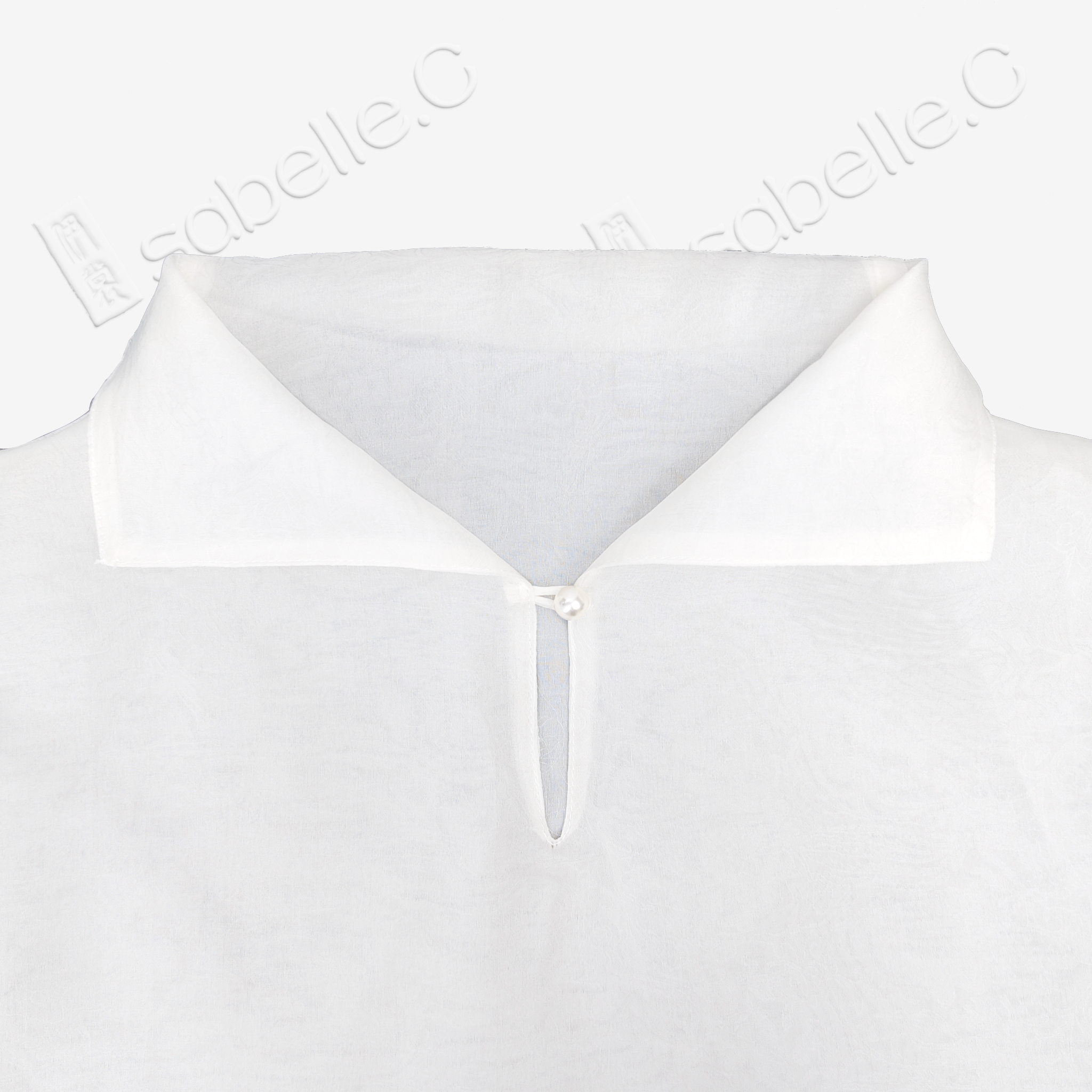 Organza Stand Collar Blouse