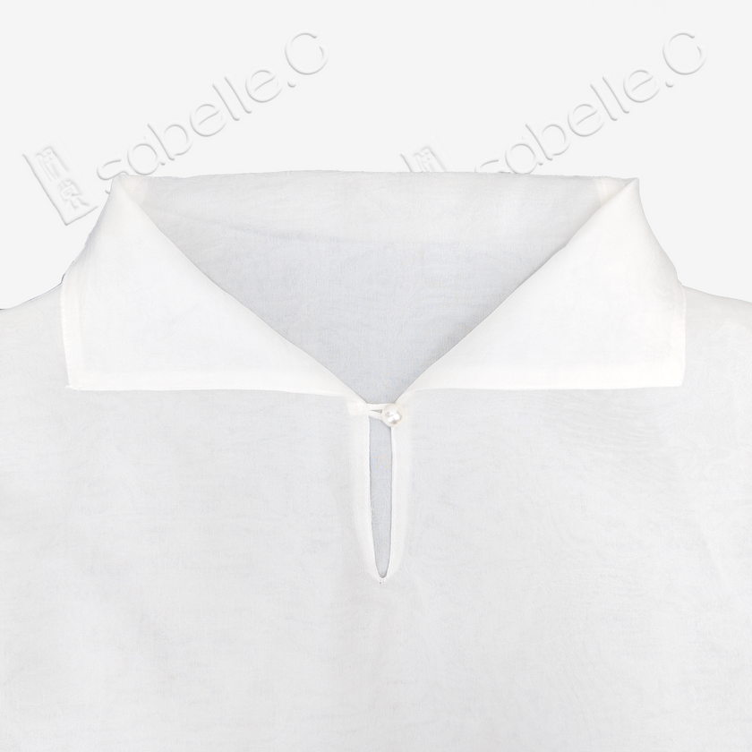 Organza Stand Collar Blouse